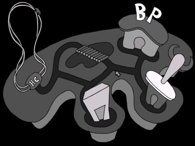 IPB Image